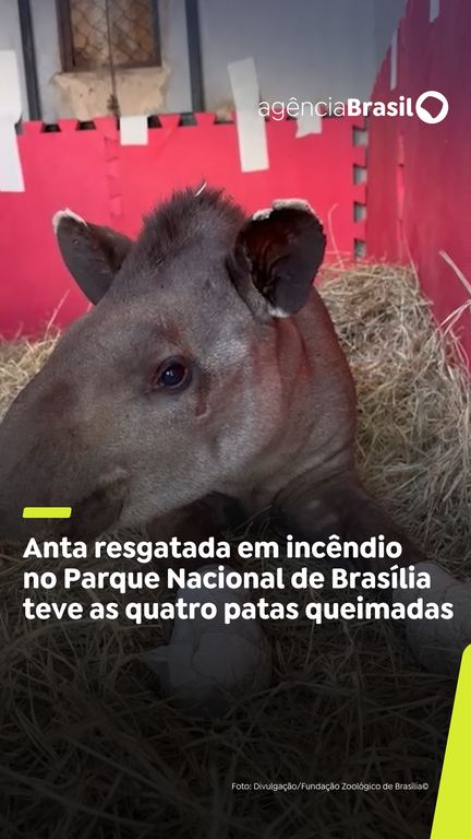 Capa do Vídeo