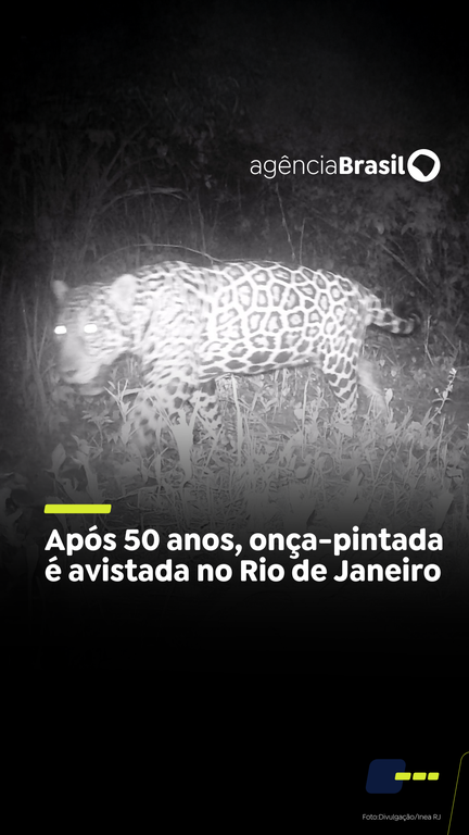 Capa do Vídeo