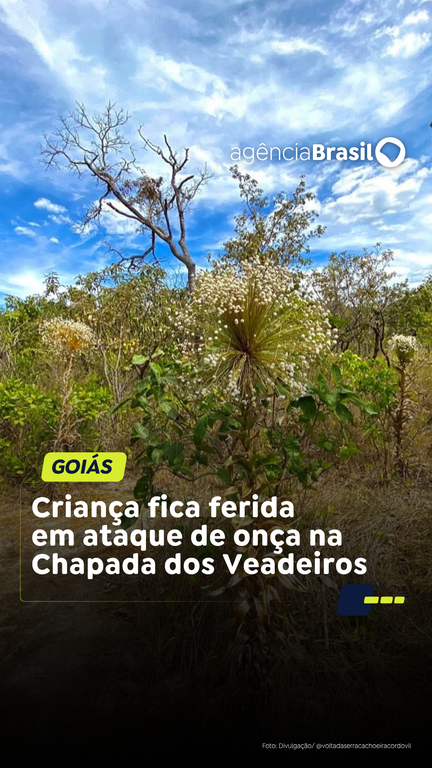 Capa do Vídeo