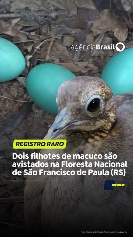 Capa do Vídeo