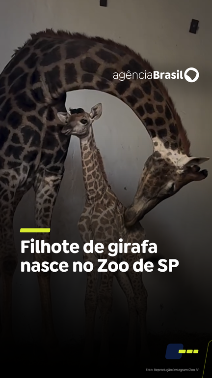 Capa do Vídeo