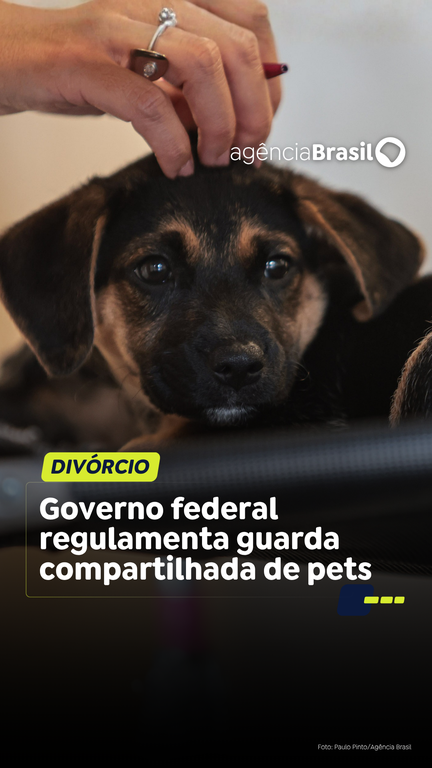 Capa do Vídeo