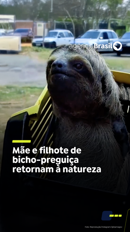 Capa do Vídeo