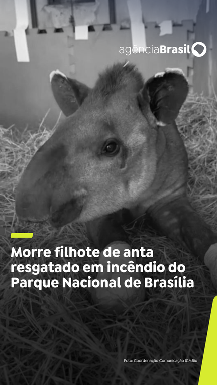 Capa do Vídeo