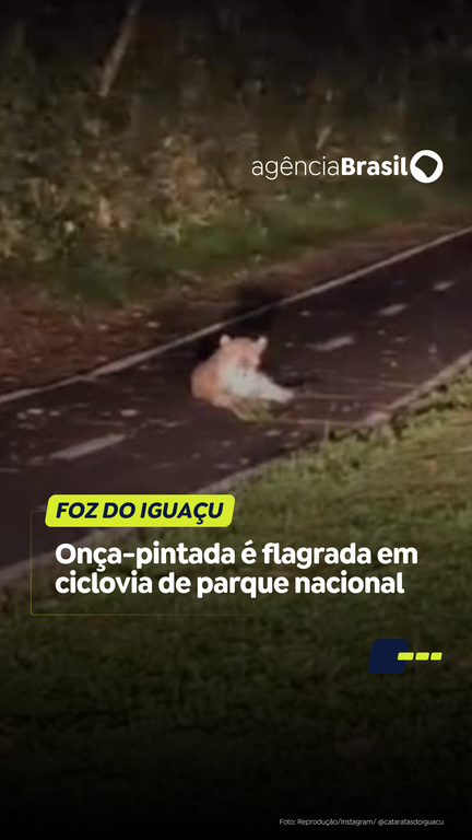 Capa do Vídeo
