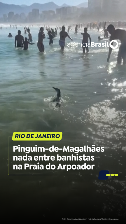 Capa do Vídeo