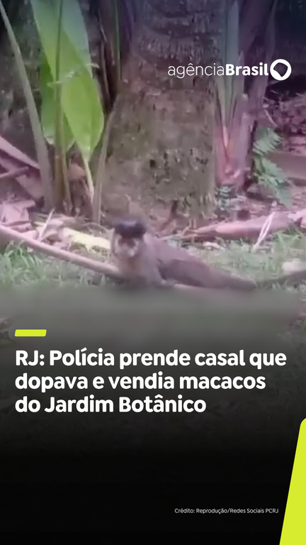 Capa do Vídeo