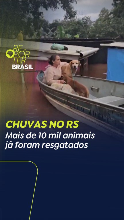 Capa do Vídeo